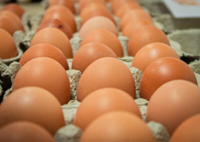 oeufs frais à Sarralbe